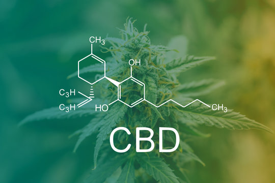 Weed Be Better Together: CBD Use After SCI 